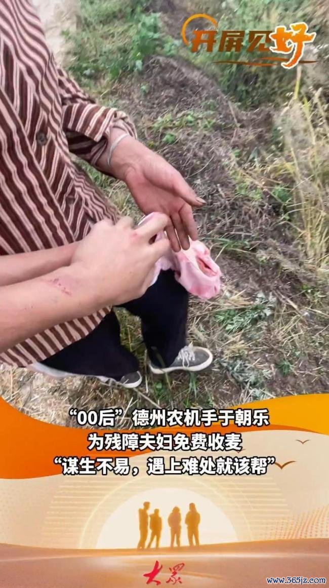 61岁“麦客”携儿子半子跨三省助收