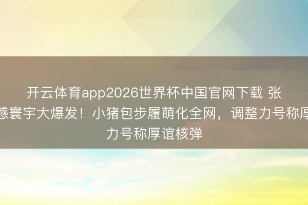 开云体育app2026世界杯中国官网下载 张元英萌感寰宇大爆发！小猪包步履萌化全网，调整力号称厚谊核弹