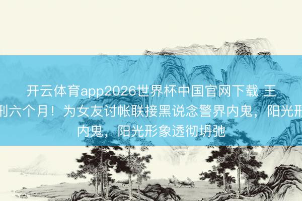 开云体育app2026世界杯中国官网下载 王大陆一审获刑六个月！为女友讨帐联接黑说念警界内鬼，阳光形象透彻坍弛