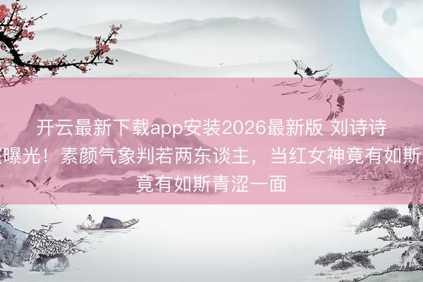 开云最新下载app安装2026最新版 刘诗诗早年旧照曝光！素颜气象判若两东谈主，当红女神竟有如斯青涩一面