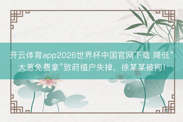 开云体育app2026世界杯中国官网下载 降低“大葱免费拿”致莳植户失掉,徐某某被拘!